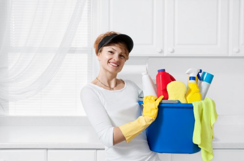 Professional review of a carpet cleaning complaint with documented evidence