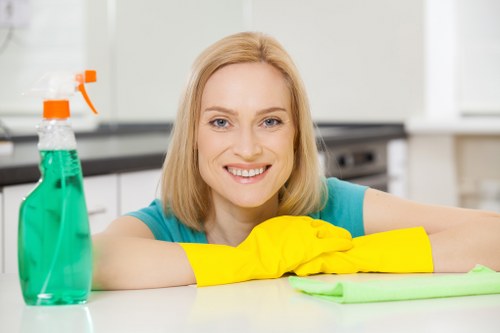 Deep cleaning of bathroom surfaces during one off cleaning in SW20