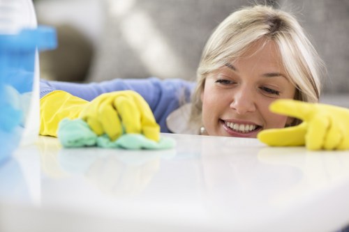 Professional oven cleaning in SW20 with a spotless kitchen appliance