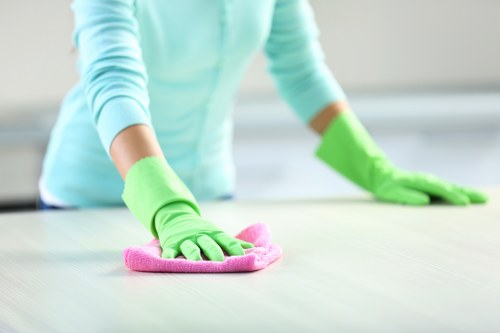 Deep carpet cleaning equipment used in a SW20 home