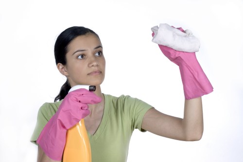 Technician carrying out a carpet cleaning treatment in a home